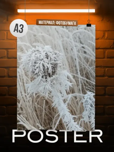 Постер А3 Серебристый иней Мама утка