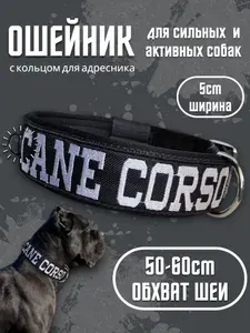 Ошейник с вышивкой "CANE CORSO". Размер 50-60см. Широкий на пряжке, усиленный, для средних и крупных собак. Для прогулок, дрессировки, спорта. Чёрный. Ширина 5см. Кане Корсо