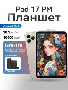 Планшет Pad 17 PM, 10.1" 1 ТБ/16 ГБ, серый