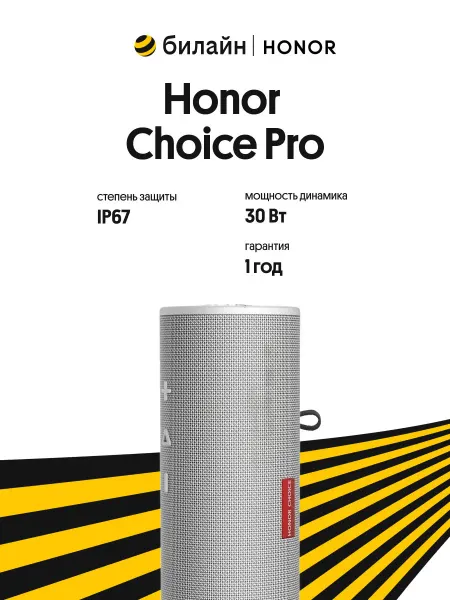 HONOR Портативная колонка Choice Pro White