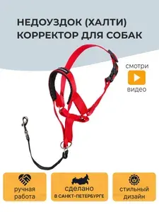 Недоуздок (Халти) корректор для собак CHOKERZ. Обхват морды 20-30 см, шеи - 40-50.