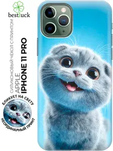 Силиконовый чехол на Apple iPhone 11 Pro с принтом "Серый котик на голубом"