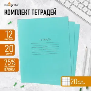 Набор тетрадей 12 листов в клетку Зелёная обложка , серые листы, 20 штук, 2 уп