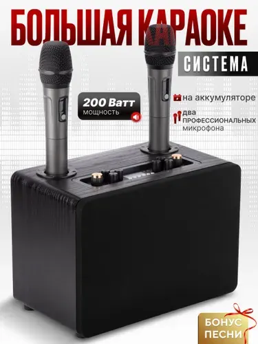 Караоке система с двумя беспроводными микрофонами SDRD TV 5.2