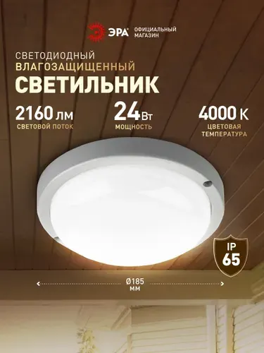 Светильник светодиодный влагозащищенный ЭРА SPB-201 IP65 24Вт 4000K круглый