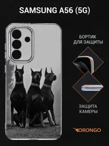 Чехол на Samsung A56 5G (A566) прозрачный с рисунком, с защитой камеры, с принтом ДОБЕРМАНЫ / Самсунг Галакси А56 А566