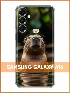 Чехол для Samsung Galaxy A16 с принтом Капибара с ромашкой