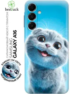 Силиконовый чехол на Samsung Galaxy A16 с принтом "Серый котик на голубом"