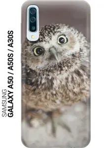 Cиликоновый чехол на Samsung Galaxy A50 / A50s / A30s / Самсунг А50 / А30 эс / А50 эс с принтом "Удивленная сова"