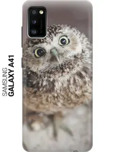 Cиликоновый чехол на Samsung Galaxy A41 / Самсунг А41 с принтом "Удивленная сова"