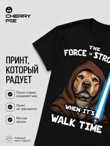 Футболка CherryPie ЗВ Мем2 1 шт