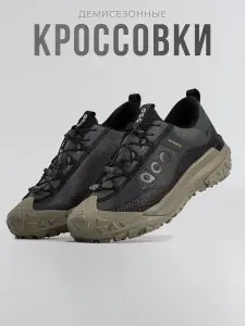 Кроссовки Mountain Fly Low