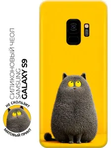 Силиконовый чехол на Samsung Galaxy S9 с принтом "Котик на солнечном фоне"