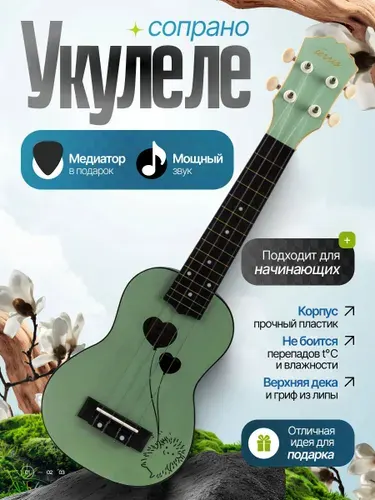 Укулеле сопрано TERRIS PLUS HARI серия Q3