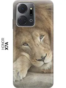 Силиконовый чехол на Honor X7a / Хонор Х7а с принтом "Спокойный лев"
