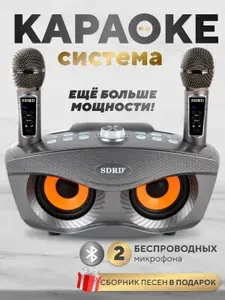 Караоке система беспроводная с двумя микрофонами SDRD SD-306 Plus