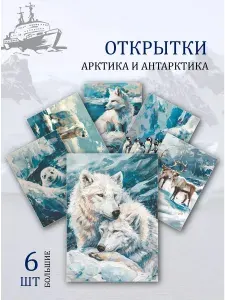 А6 Открытки животные арктики и антарктиды