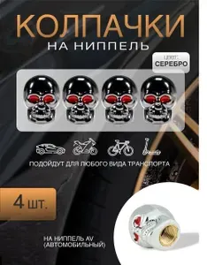 Колпачки для колес на ниппель авто, вело, мото, "Череп" 4 штуки