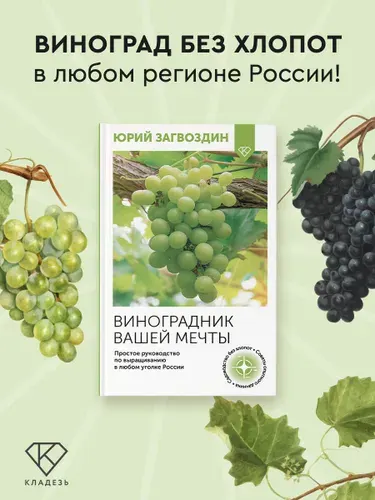 Виноградник вашей мечты. Простое руководство по выращиванию в любом уголке России | Загвоздин Юрий Максимович