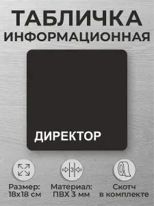 Черная офисная табличка на дверь кабинета в офисе Директор