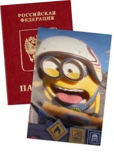 Чехол на паспорт миньон