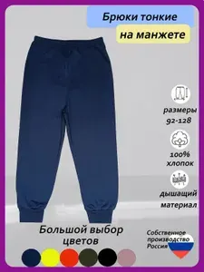 Брюки Детрик