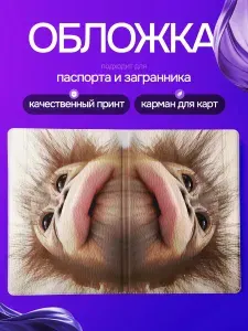 StickFlow Обложка