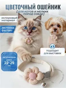 Ошейник с бубенчиком