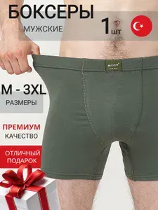 Трусы боксеры Моди, 1 шт