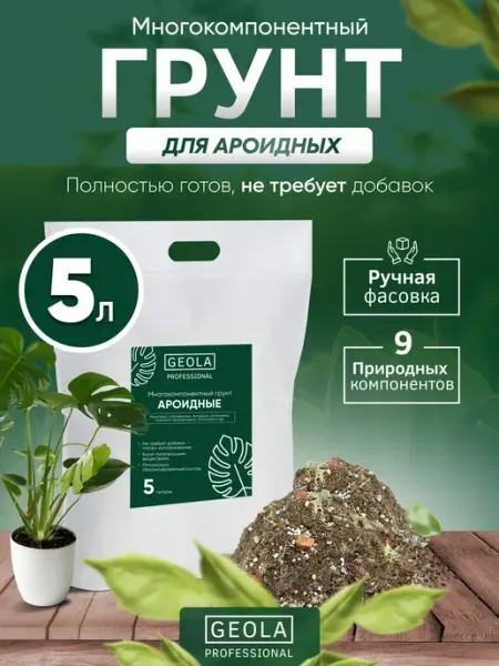 Грунт для ароидных растений