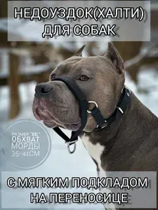 Недоуздок(халти) TESLA COLLAR для собак "XXL"
