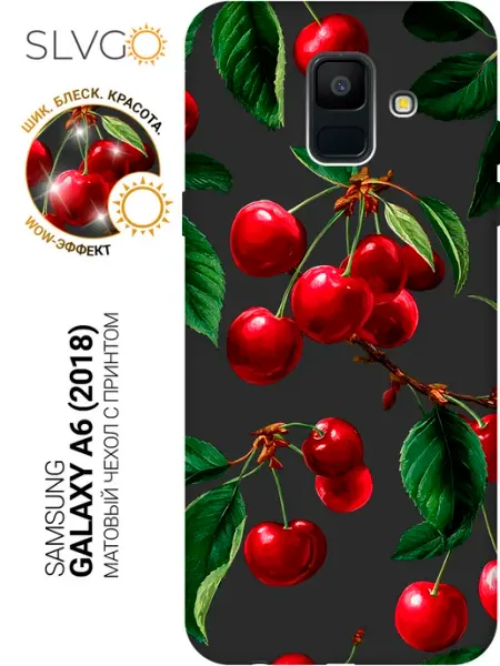 Чехол на Samsung Galaxy A6 (2018) прикольный SLVGO