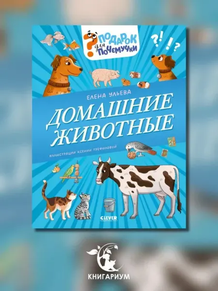Домашние животные