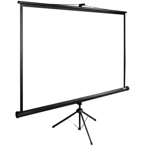 Экран Cactus 89" 160x160см TriExpert CS-PSTE-160x160-BK 1:1 напольный рулонный черный