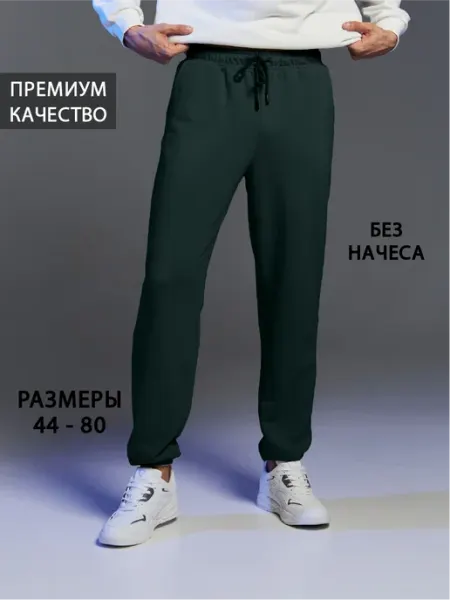 COMANCHES Брюки мужские спортивные без начеса джоггеры