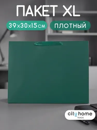 Пакет подарочный горизонтальный большой на 1 сентября, 39х30х15 см, 1 шт