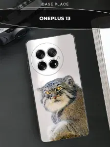 Чехол на oneplus 13 кот