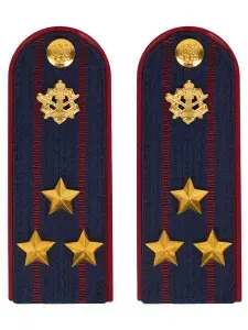 Погоны ФСИН на куртку пластик, звание Полковник 14х5,5см 751651