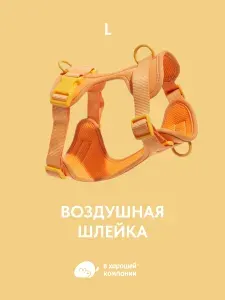Анатомическая прогулочная шлейка с адресником для собак крупных пород IN GOOD COMPANY В ХОРОШЕЙ КОМПАНИИ (L / желтый)