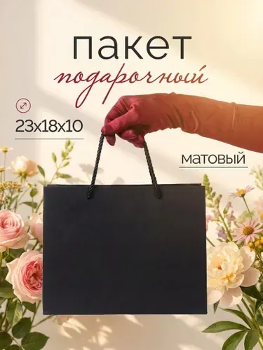 18х23х10 см, 1 шт, Черный пакет подарочный маленький, на выпускной