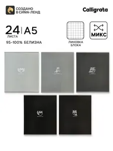 Тетрадь 24 листа в клетку Совы, блок офсет, 5 В МИКС
