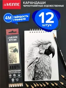 Карандаши простые твердостью 4М художественные профессиональные чернографитные 12 шт.