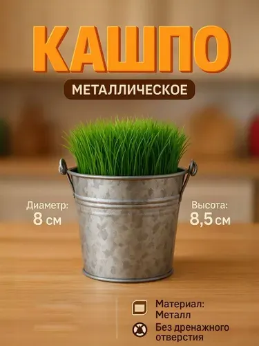 Кашпо для цветов металлическое Альма 8,5 см, серебристый, для дома и дачи, без дренажного отверстия