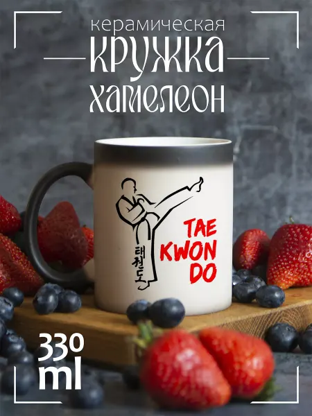 CoolPodarok Кружка подарочная хамелеон Teakwondo (Тхэквондо)
