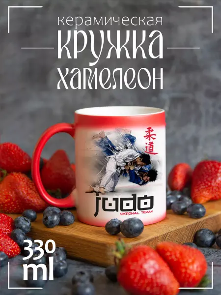 CoolSuvenir Кружка подарочная хамелеон Judo Дзюдо