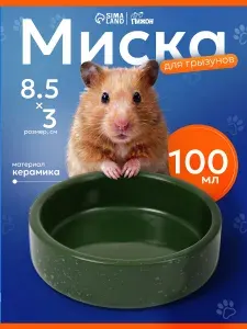 Миска для грызунов керамическая, 100 мл, 8.5x3 см, зелёная