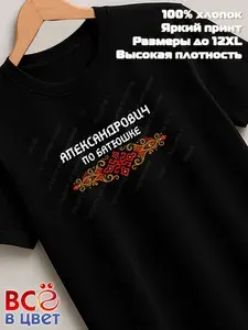 Футболка Всё в цвет черная Александрович по батюшке прикол 1 шт