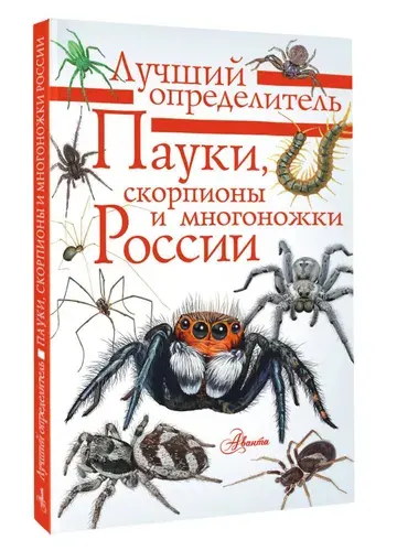 Пауки, скорпионы и многоножки России | Гомыранов Илья Алексеевич
