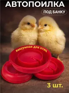 Поилка для цыплят под банку, 3 штуки