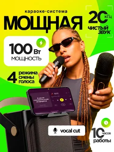 Караоке система с двумя микрофонами для дома / колонка с беспроводным микрофоном